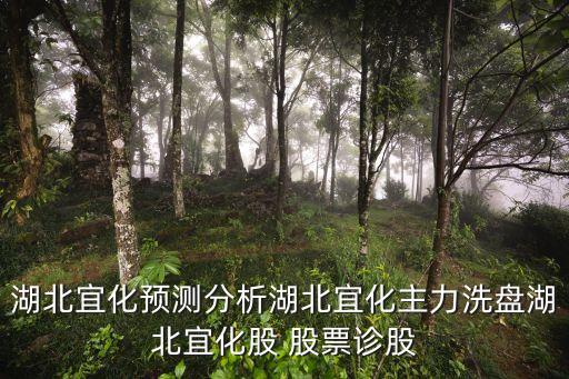 湖北宜化預(yù)測(cè)分析湖北宜化主力洗盤湖北宜化股 股票診股