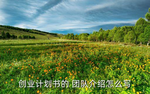 創(chuàng)業(yè)計劃書的 團隊介紹怎么寫