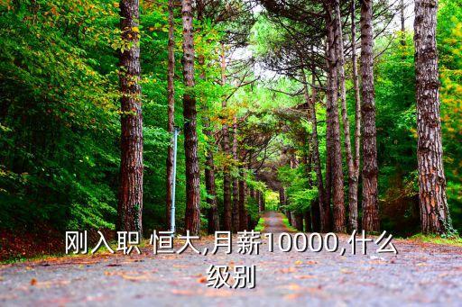 剛?cè)肼?恒大,月薪10000,什么級別