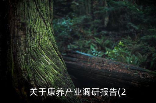 大基康明公司怎么樣,北京大基醫(yī)療怎么樣