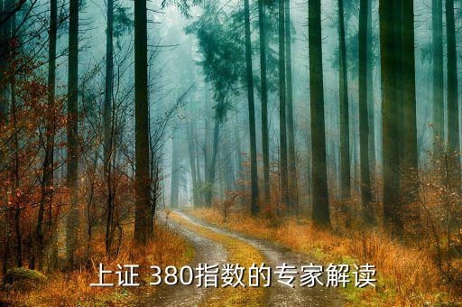 入選上證380對(duì)股票作用,調(diào)出上證380的股票好不好