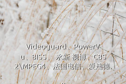 Videoguard、PowerVu、BISS、 永新 視博、CBS2\MPEG4、法國電信、愛迪德...