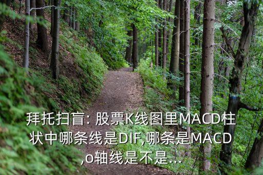 拜托掃盲: 股票K線圖里MACD柱狀中哪條線是DIF,哪條是MACD,o軸線是不是...