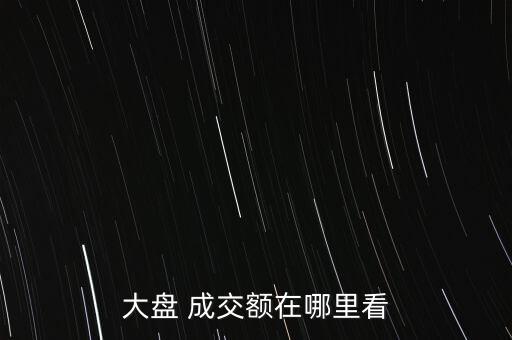 大盤(pán) 成交額在哪里看