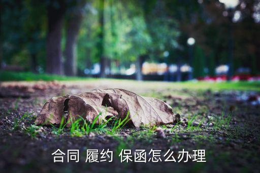 合同 履約 保函怎么辦理