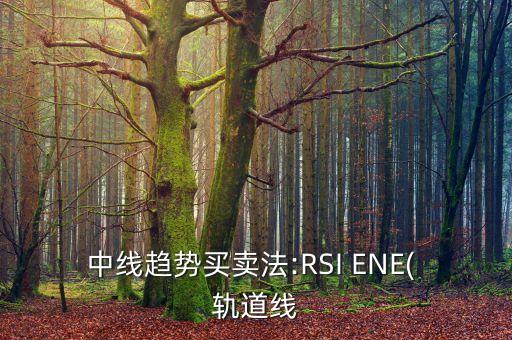 中線趨勢買賣法:RSI ENE( 軌道線