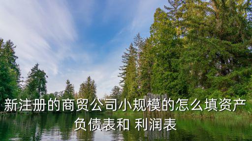 新注冊(cè)的商貿(mào)公司小規(guī)模的怎么填資產(chǎn)負(fù)債表和 利潤表