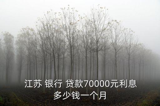  江蘇 銀行 貸款70000元利息多少錢(qián)一個(gè)月