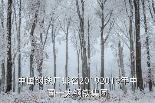 中國鋼鐵廠排名20192019年中國十大鋼鐵集團