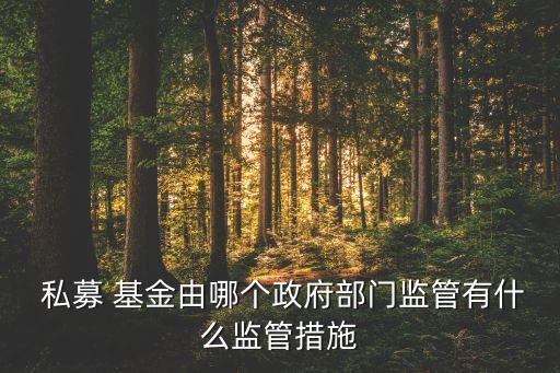  私募 基金由哪個政府部門監(jiān)管有什么監(jiān)管措施