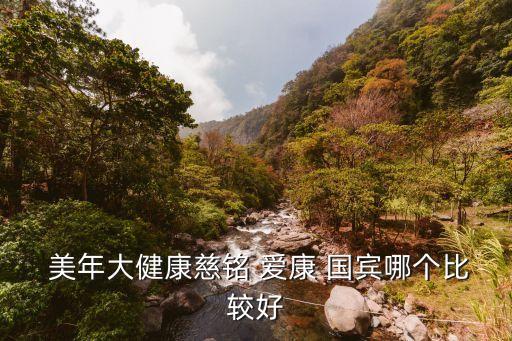  美年大健康慈銘 愛康 國(guó)賓哪個(gè)比較好