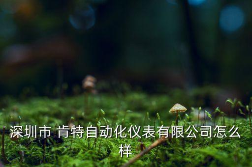 深圳市 肯特自動化儀表有限公司怎么樣