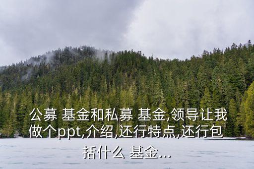  公募 基金和私募 基金,領(lǐng)導(dǎo)讓我做個(gè)ppt,介紹,還行特點(diǎn),還行包括什么 基金...