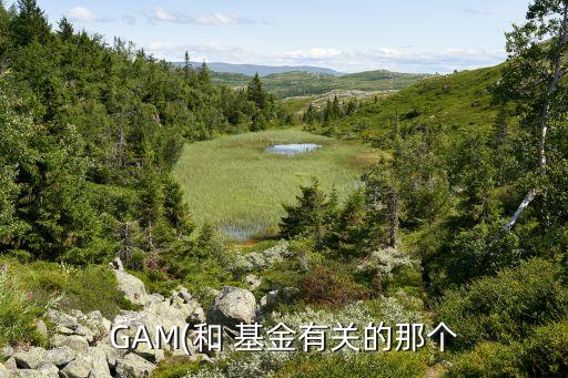 GAM(和 基金有關(guān)的那個