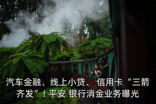 汽車金融、線上小貸、 信用卡“三箭齊發(fā)”! 平安 銀行消金業(yè)務(wù)曝光