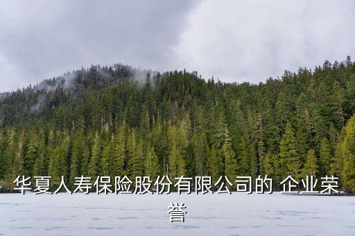 華夏人壽保險股份有限公司的 企業(yè)榮譽(yù)