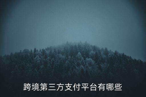 跨境第三方支付平臺有哪些