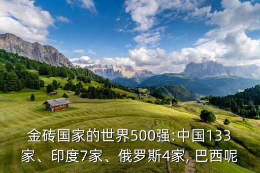 金磚國(guó)家的世界500強(qiáng):中國(guó)133家、印度7家、俄羅斯4家, 巴西呢