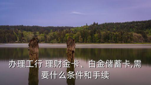 辦理工行 理財金卡、白金儲蓄卡,需要什么條件和手續(xù)