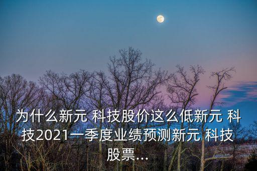 為什么新元 科技股價(jià)這么低新元 科技2021一季度業(yè)績(jī)預(yù)測(cè)新元 科技股票...