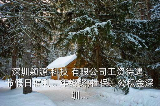 深圳穎源 科技 有限公司工資待遇、節(jié)假日福利、年終獎(jiǎng);社保、公積金深圳...