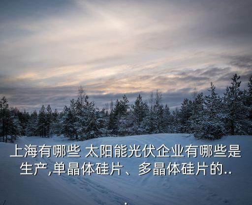 上海有哪些 太陽能光伏企業(yè)有哪些是生產(chǎn),單晶體硅片、多晶體硅片的...