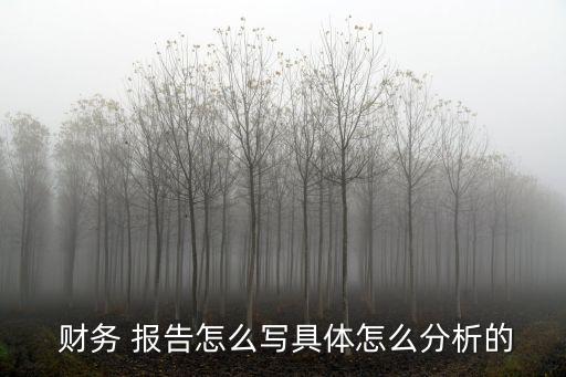 蘇寧云商集團股份有限公司財務(wù)會計報告分析