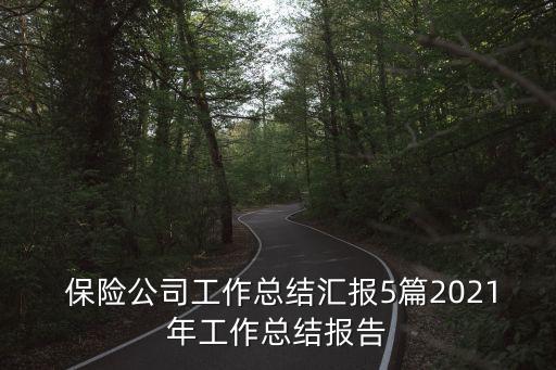  保險(xiǎn)公司工作總結(jié)匯報(bào)5篇2021年工作總結(jié)報(bào)告