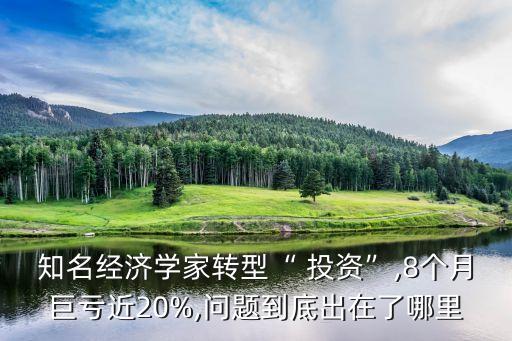 知名經(jīng)濟學家轉(zhuǎn)型“ 投資”,8個月巨虧近20%,問題到底出在了哪里