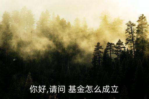 你好,請(qǐng)問 基金怎么成立