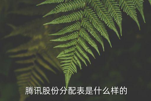  騰訊股份分配表是什么樣的