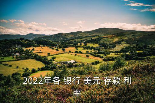 2022年各 銀行 美元 存款 利率