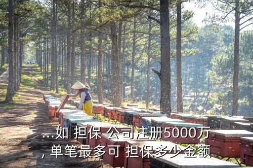 ...如 擔(dān)保 公司注冊5000萬, 單筆最多可 擔(dān)保多少金額