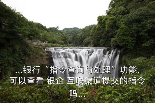 ...銀行“指令查詢與處理”功能,可以查看 銀企 互聯(lián)渠道提交的指令嗎...