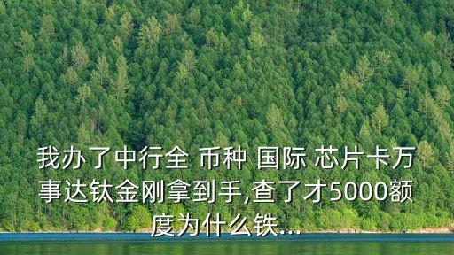 中國銀行全幣種國際芯片卡申請(qǐng),全幣種國際芯片萬事達(dá)鈦金 中國銀行