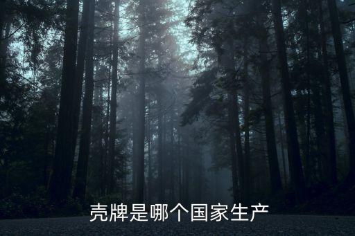 荷蘭皇家殼牌石油公司