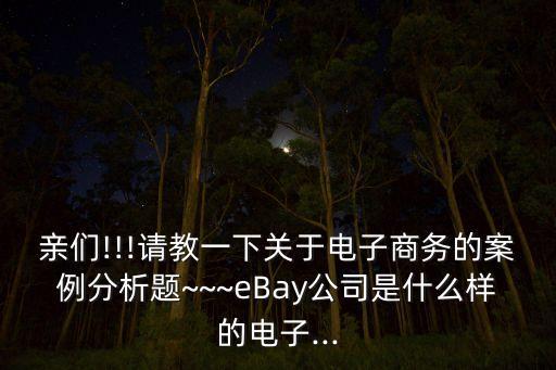 親們!!!請教一下關于電子商務的案例分析題~~~eBay公司是什么樣的電子...