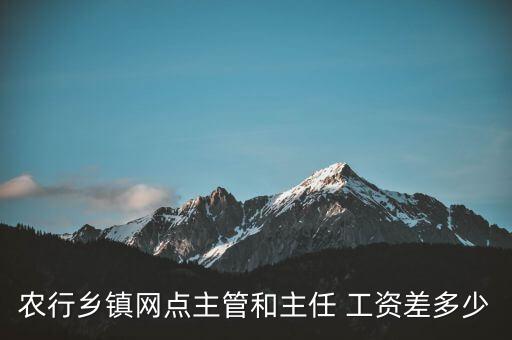 農(nóng)行鄉(xiāng)鎮(zhèn)網(wǎng)點主管和主任 工資差多少