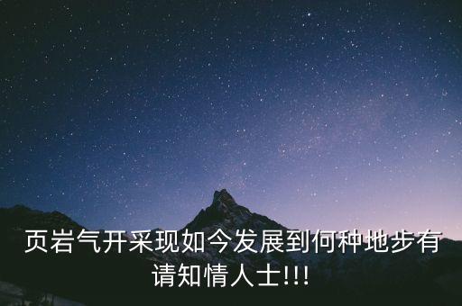  頁巖氣開采現(xiàn)如今發(fā)展到何種地步有請知情人士!!!