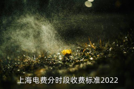  上海電費分時段收費標準2022