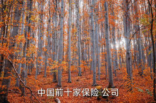 中國前十家保險(xiǎn) 公司