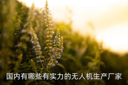 國(guó)內(nèi)有哪些有實(shí)力的無(wú)人機(jī)生產(chǎn)廠家