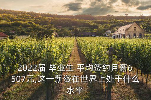 2022屆 畢業(yè)生 平均簽約月薪6507元,這一薪資在世界上處于什么水平