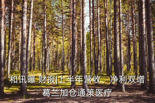 和訊曝 財報|上半年?duì)I收、凈利雙增葛蘭加倉通策醫(yī)療