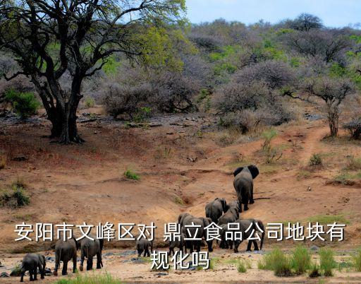 安陽市文峰區(qū)對 鼎立食品公司地塊有規(guī)化嗎