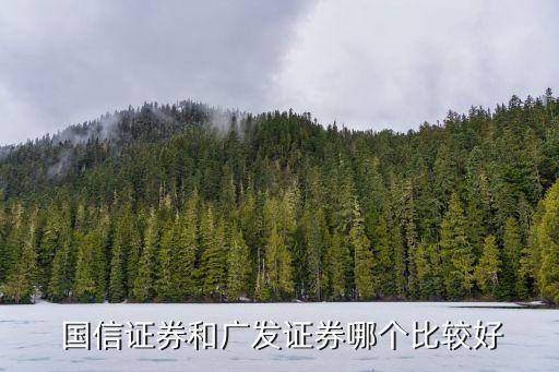 國信弘盛投資有限公司主營,山西國信文化旅游投資發(fā)展集團有限公司