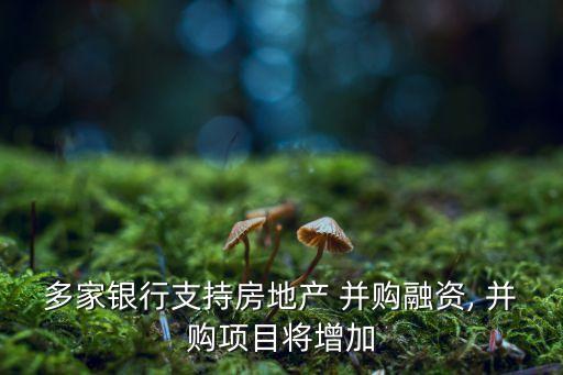 多家銀行支持房地產(chǎn) 并購融資, 并購項(xiàng)目將增加