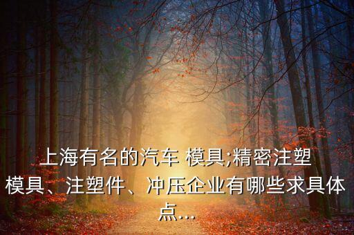  上海有名的汽車 模具;精密注塑 模具、注塑件、沖壓企業(yè)有哪些求具體點...