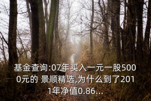 基金查詢:07年買入一元一股5000元的 景順精選,為什么到了2011年凈值0.86...