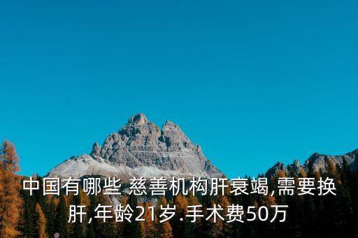 中國(guó)有哪些 慈善機(jī)構(gòu)肝衰竭,需要換肝,年齡21歲.手術(shù)費(fèi)50萬